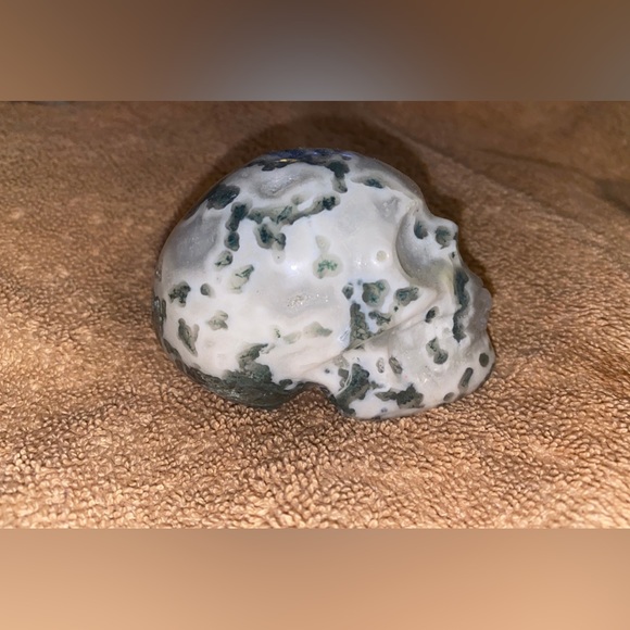 Skull party - Picture 4 of 11